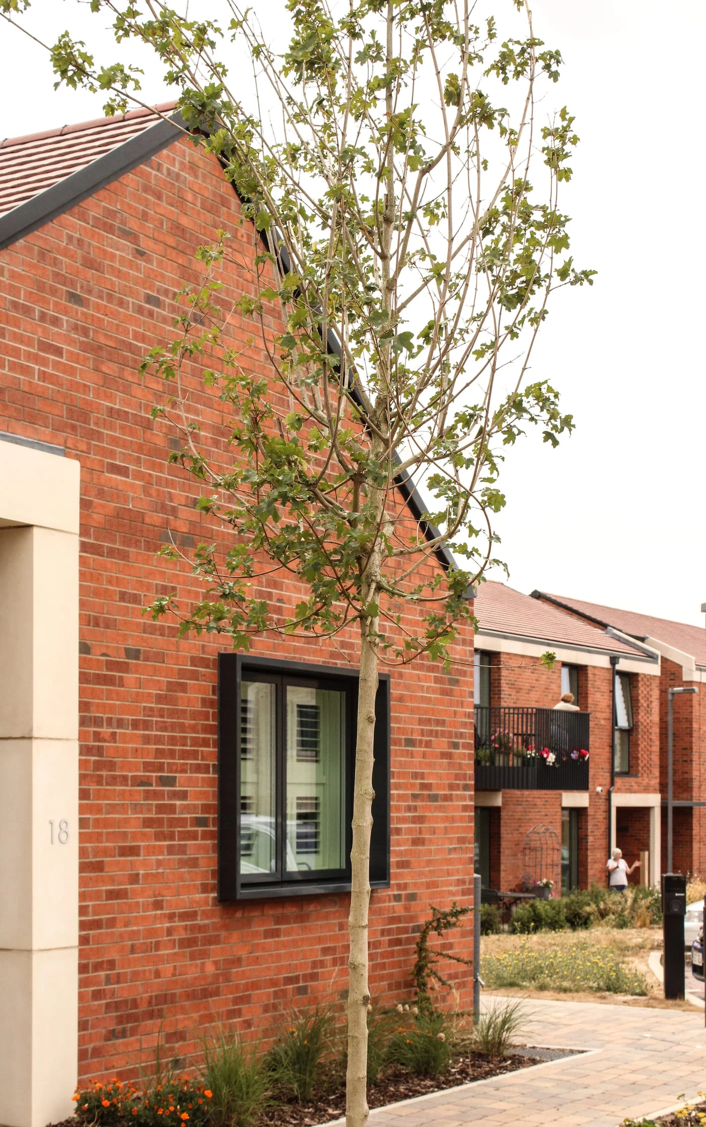 Brick detailing and planting